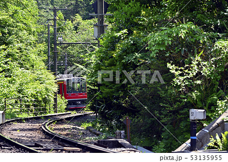 【夏】 箱根登山鉄道1000形 【箱根町】 神奈川県 【夏】 箱根登山鉄道1000形 【箱根町】 神奈川県 53135955