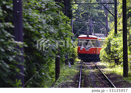 【夏】 箱根登山鉄道モハ2形108 【箱根町】 金太郎塗装 53135957