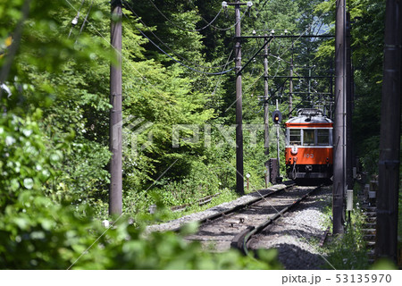 【夏】 箱根登山鉄道モハ1形103 【箱根町】 神奈川県 【夏】 箱根登山鉄道モハ1形103 【箱根町】 神奈川県 53135970