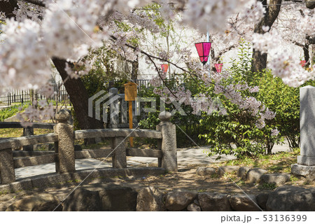 高津公園 高津公園 53136399