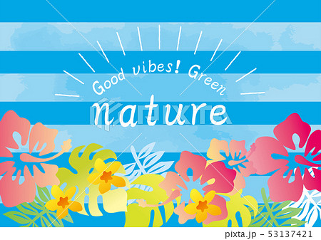 ハイビスカスのポスター 53137421