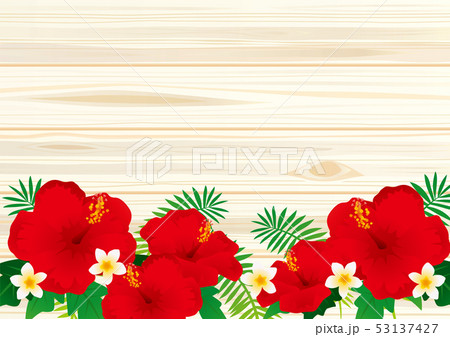 ハイビスカスのポスター 53137427