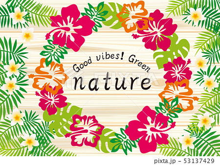 ハイビスカスのポスター 53137429