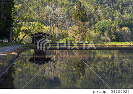 田植えM21 田植えM21 53139025