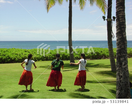 ありのままのハワイ　オアフ島　カポレイ　フラキャンプ 53139841