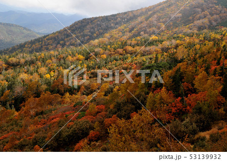 乗鞍岳紅葉 53139932