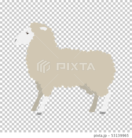 羊 53139965