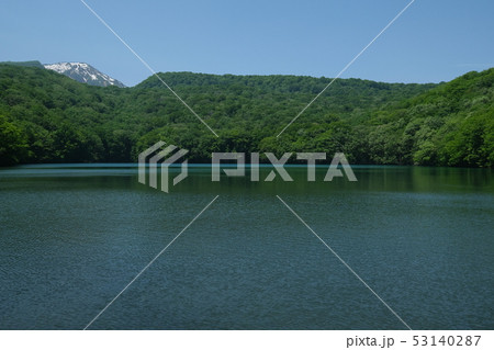 夏の蔦沼 夏の蔦沼 53140287