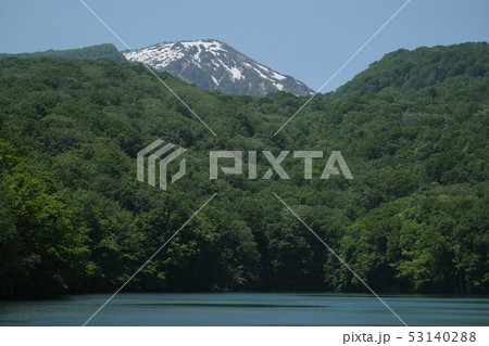夏の蔦沼 夏の蔦沼 53140288