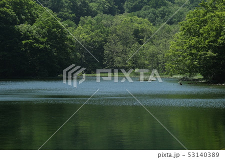 蔦七沼 - 菅沼 53140389