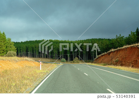 Highway Beside A Tall Pine Forest 53140391