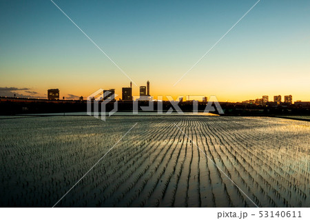 見沼田んぼ 日没後の田んぼの美しい夕景 見沼田んぼ 日没後の田んぼの美しい夕景 53140611