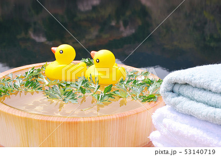 アヒルの入浴 53140719