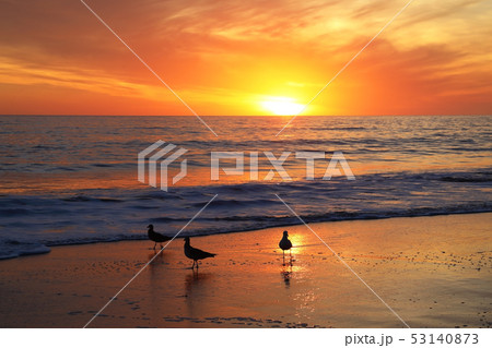 サンタバーバラの夕景 53140873