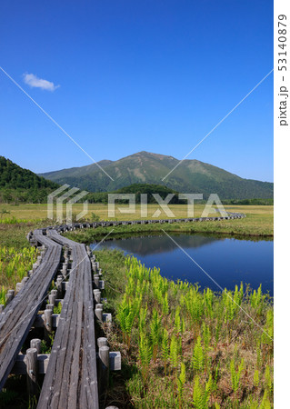 尾瀬ヶ原_池塘と至仏山_6月下旬_縦 53140879