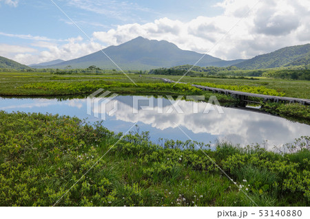 尾瀬ヶ原_燧ヶ岳と池塘_7月上旬 53140880
