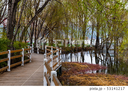 中国 チャイナ 磁器 53141217