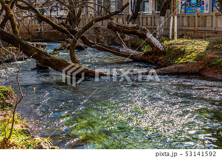 中国 チャイナ 磁器 53141592