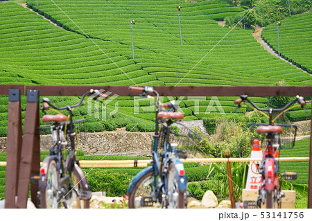 京都府・景観資産登録地域・和束町石寺の茶畑１ 53141756