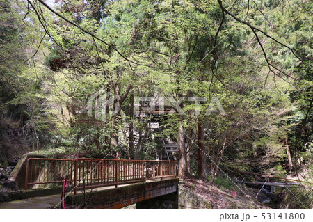 和歌山県かつらぎ町・一言主神社 和歌山県かつらぎ町・一言主神社 53141800