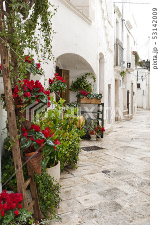 ロコロトンドの風景 イタリア ロコロトンドの風景 イタリア 53142009
