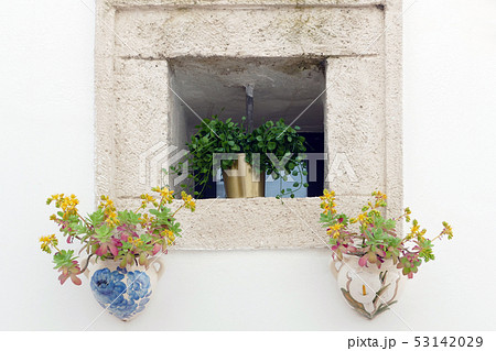 窓に飾られた花 53142029