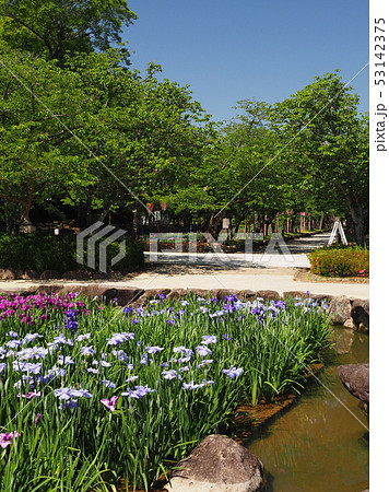 大村公園:玖島城跡(長崎県大村市) 大村公園:玖島城跡(長崎県大村市) 53142375