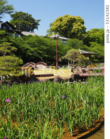 大村公園:玖島城跡(長崎県大村市) 大村公園:玖島城跡(長崎県大村市) 53142382