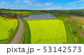 安平町内の菜の花畑＞北海道安平町が誇る菜の花空撮ドローン 53142573