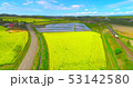 安平町内の菜の花畑＞北海道安平町が誇る菜の花空撮ドローン 53142580