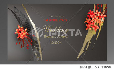 Tropical black and gold leaves on dark background 53144696