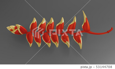 Tropical black and gold leaves on dark background Tropical black and gold leaves on dark background 53144708