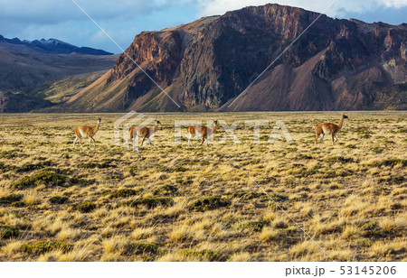 Perito Moreno Park Perito Moreno Park 53145206