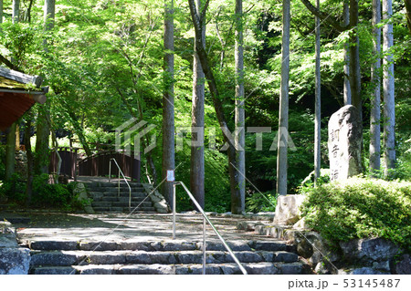 調音の滝公園 調音の滝公園 53145487