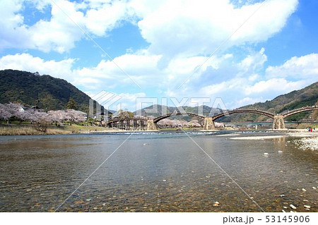 春の錦帯橋 53145906