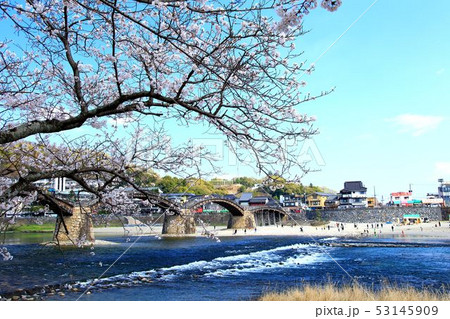 春の錦帯橋 53145909