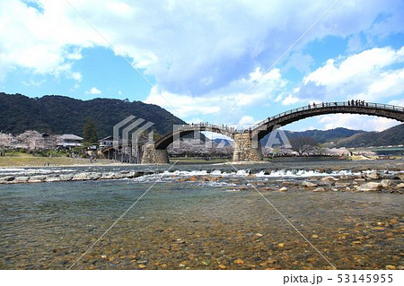 春の錦帯橋 春の錦帯橋 53145955