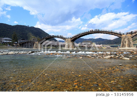 春の錦帯橋 春の錦帯橋 53145956