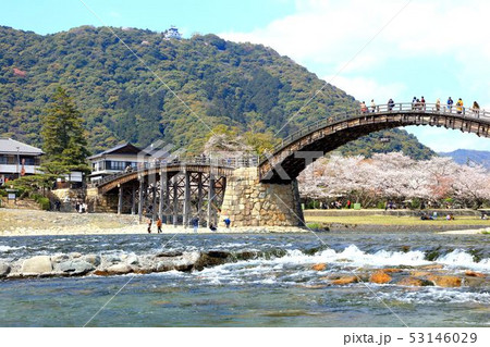 春の錦帯橋 53146029