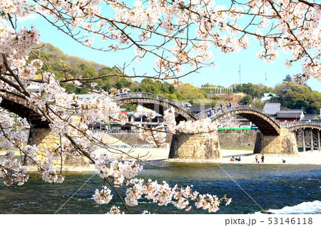春の錦帯橋 春の錦帯橋 53146118