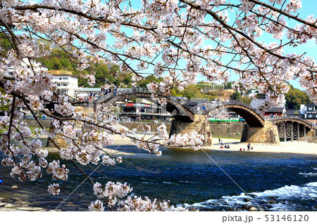 春の錦帯橋 53146120