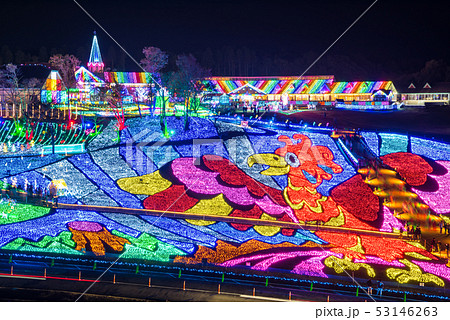 東京ドイツ村 イルミネーション夜景 2018年 （千葉県袖ヶ浦市） 53146263