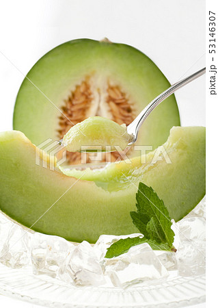 タカミメロン 53146307