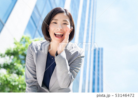 ビジネスウーマン  ビジネスイメージ  働く女性 53146472