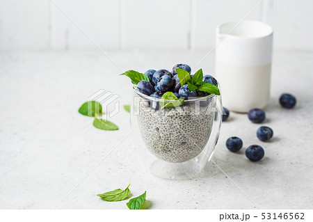 Chia pudding with blueberries and mint in glass Chia pudding with blueberries and mint in glass 53146562