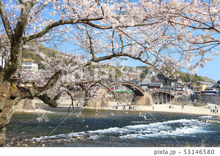 錦帯橋 錦帯橋 53146580