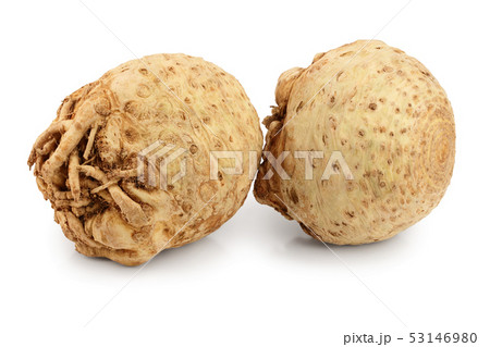 Fresh celery root isolated on white background Fresh celery root isolated on white background 53146980