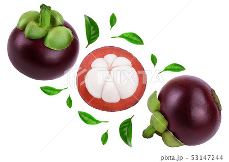 ripe mangosteen with leaves isolated on white background closeup. Top view. Flat lay ripe mangosteen with leaves isolated on white background closeup. Top view. Flat lay 53147244