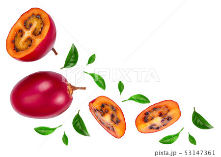 Fresh tamarillo fruit with leaves isolated on white background with copy space for your text. Top Fresh tamarillo fruit with leaves isolated on white background with copy space for your text. Top 53147361