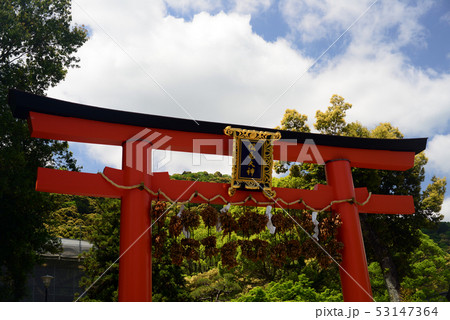 松尾大社の赤鳥居-5 松尾大社の赤鳥居-5 53147364